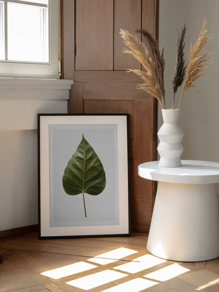 Die filigranen Blattadern | Poster