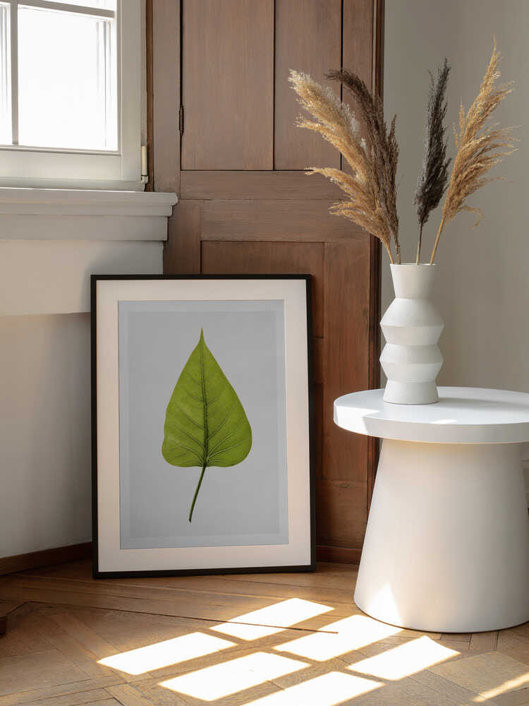 Einzelnes grünes Blatt mit filigranem Adernmuster | Poster