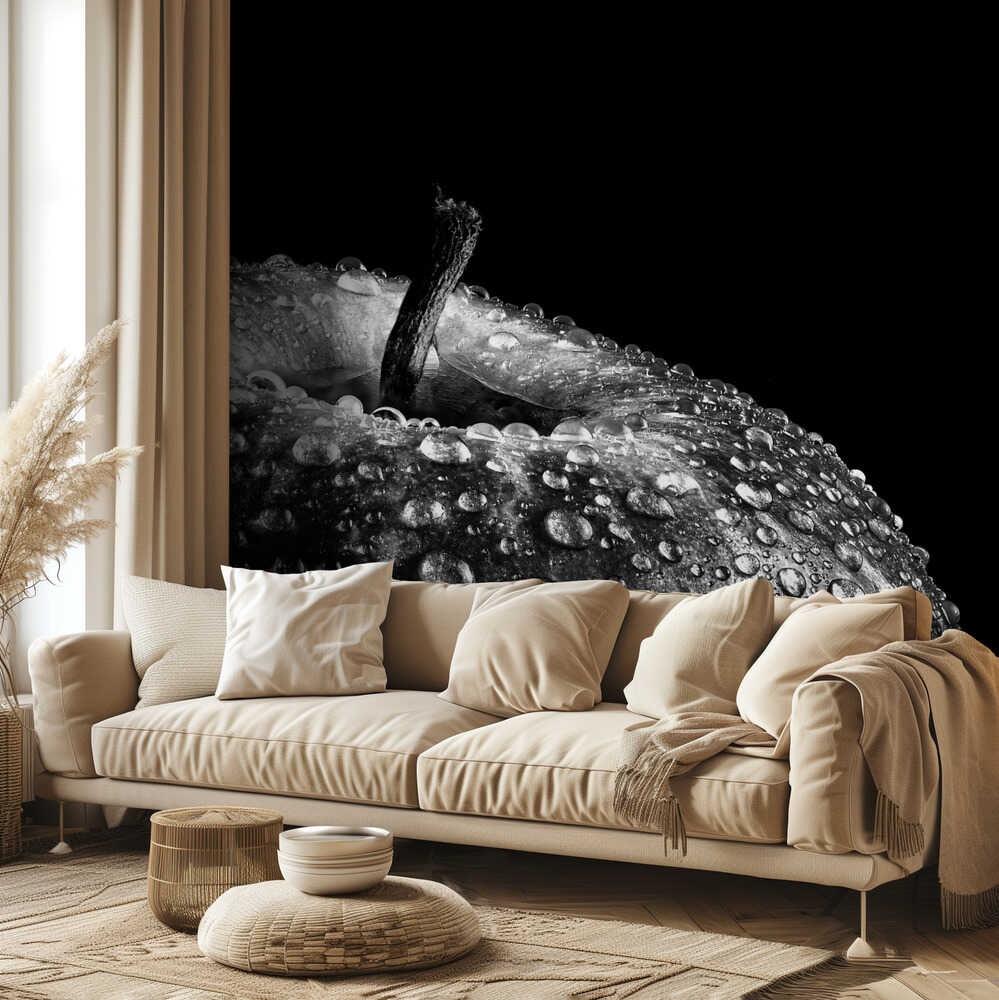 Appel | Hintergrundbild