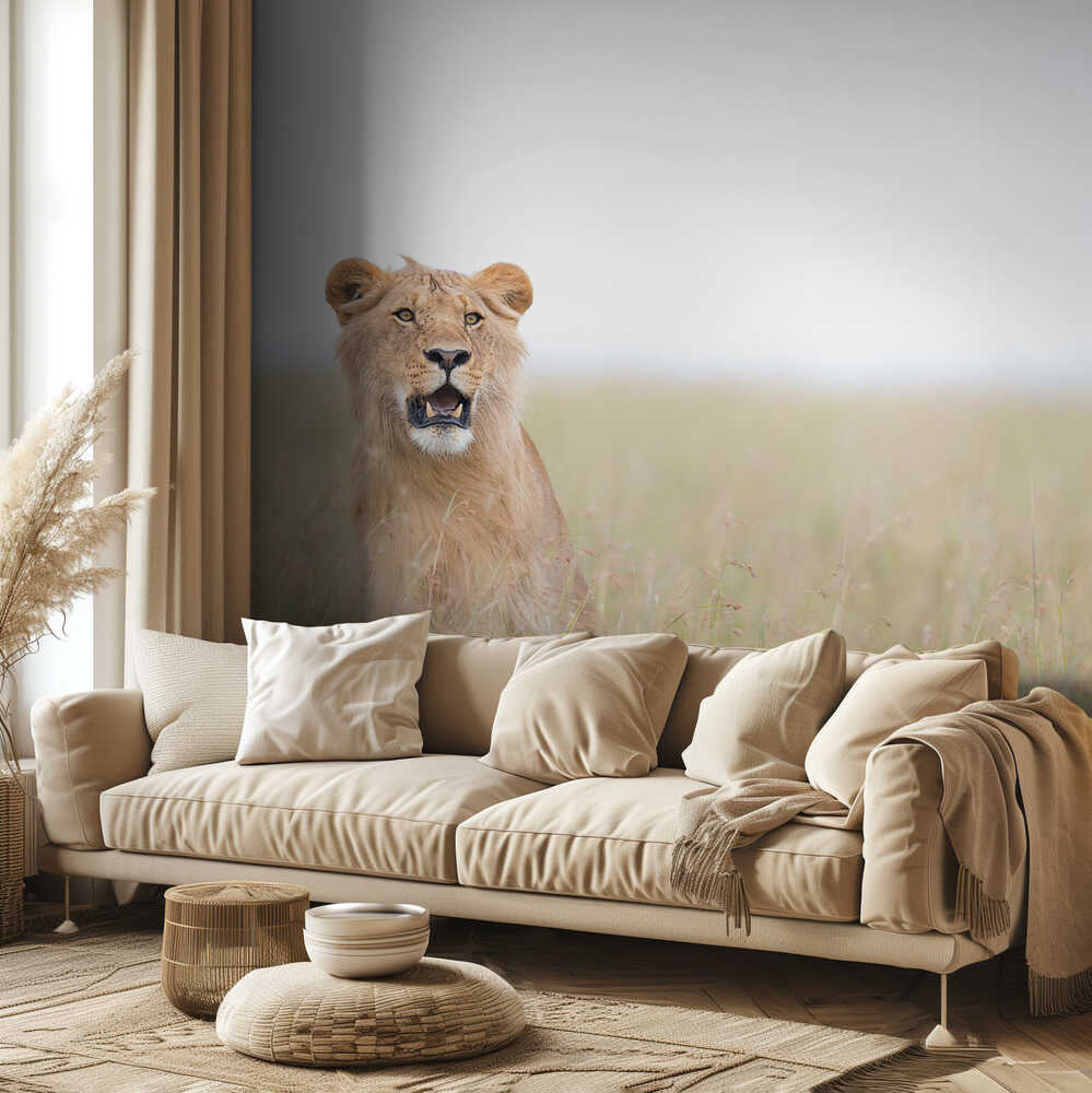 Young Lion | Wallpaper