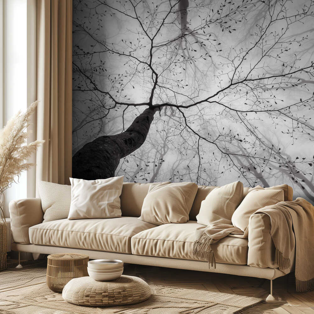 Vue de la cime de l'arbre | Fond d'écran