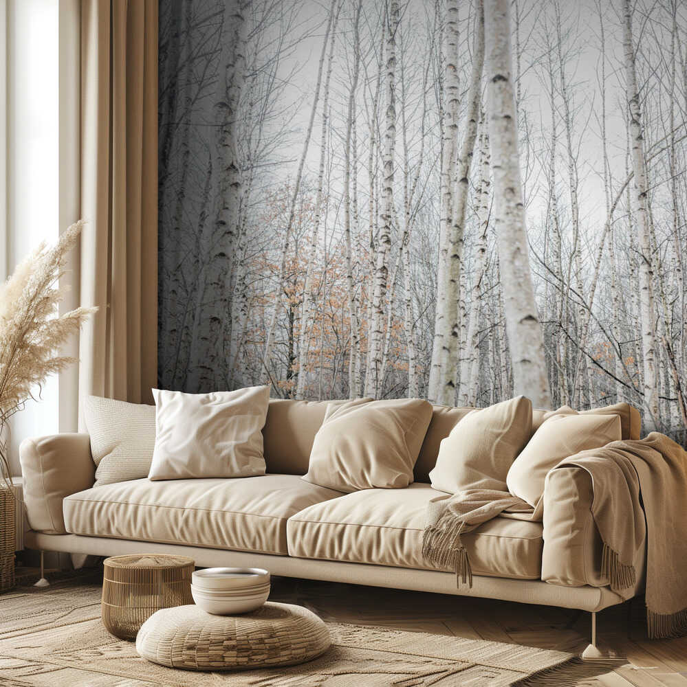 Birken 9 | Hintergrundbild