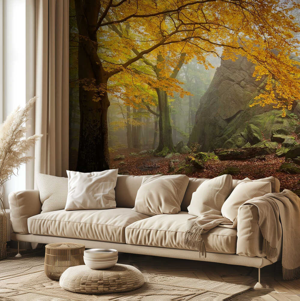 Herbstwald | Hintergrundbild