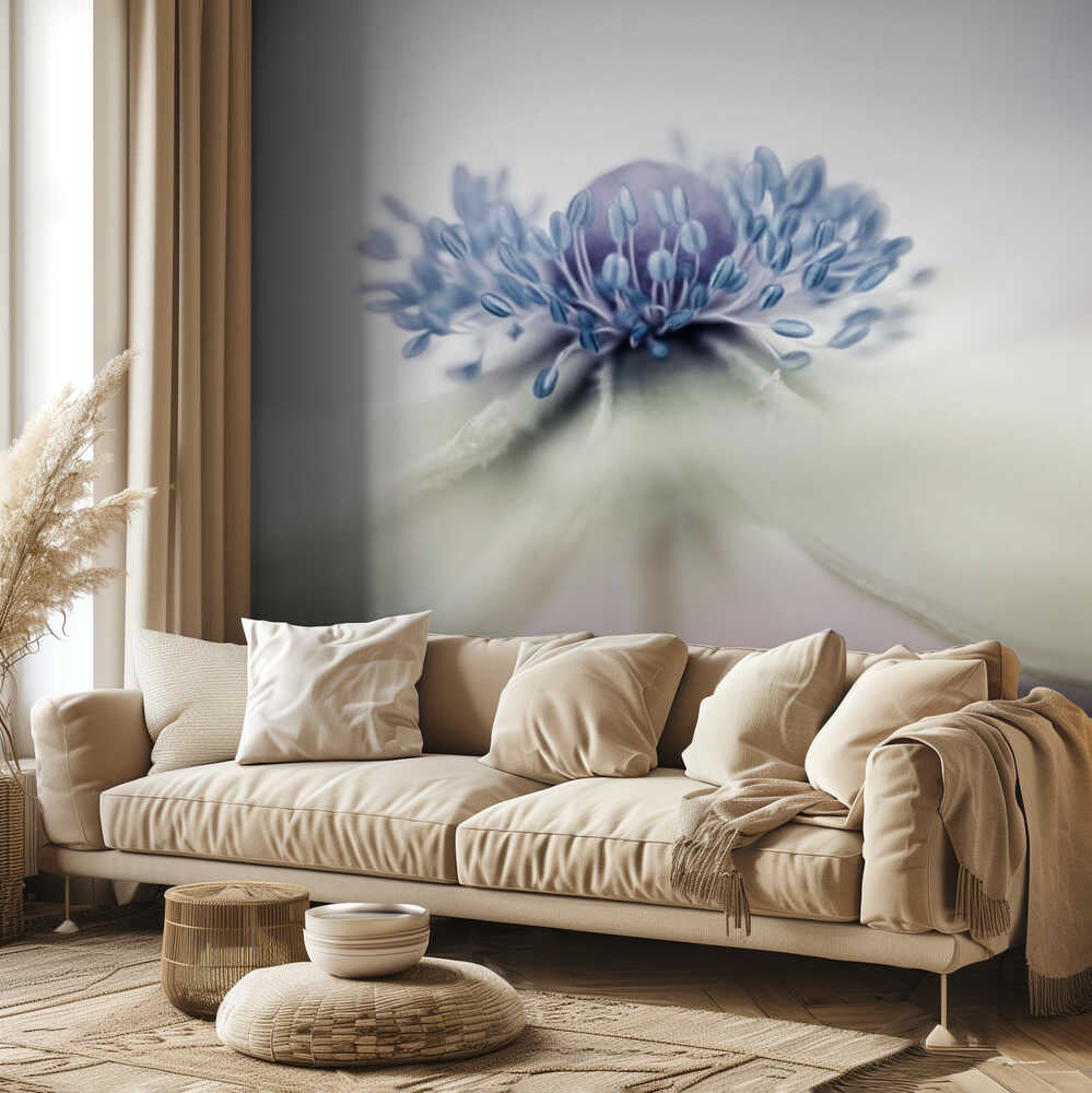 Anemone | Hintergrundbild