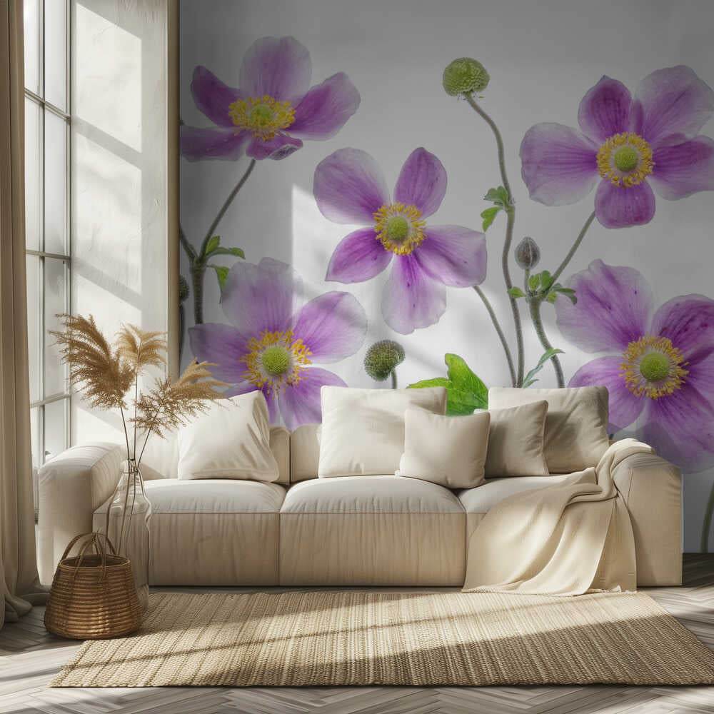 Japanische Anemone | Hintergrundbild