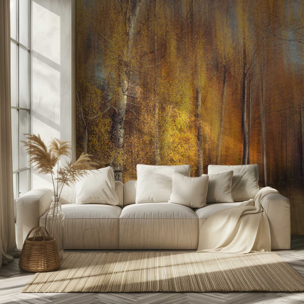 Bouleaux d'automne | Papier peint