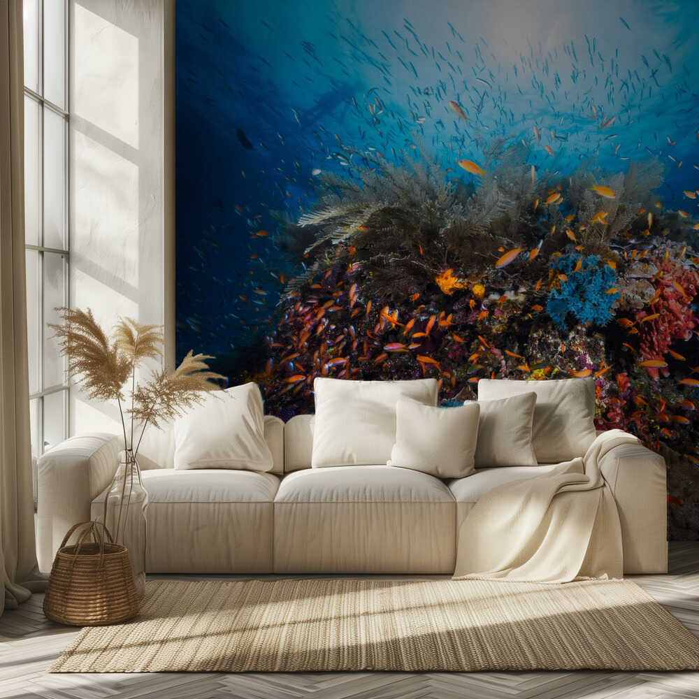 Apnoe | Hintergrundbild