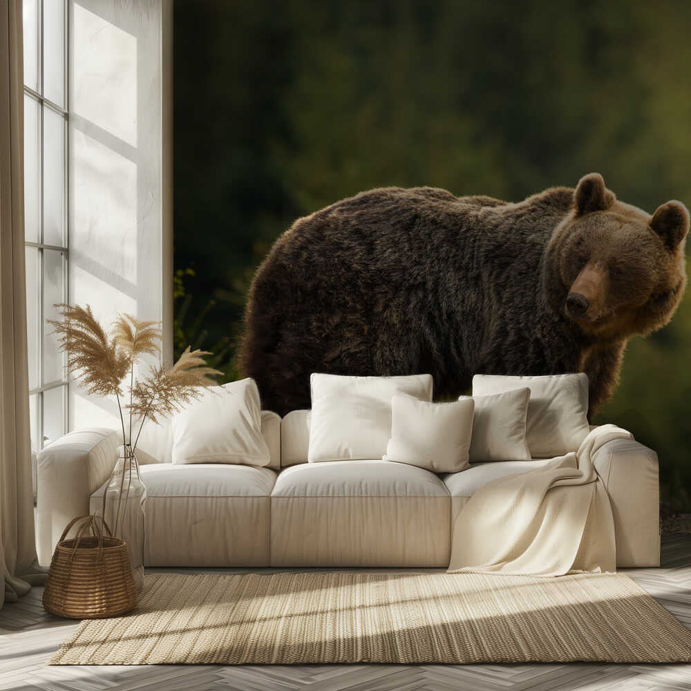 Hinterleuchteter Bär | Hintergrundbild