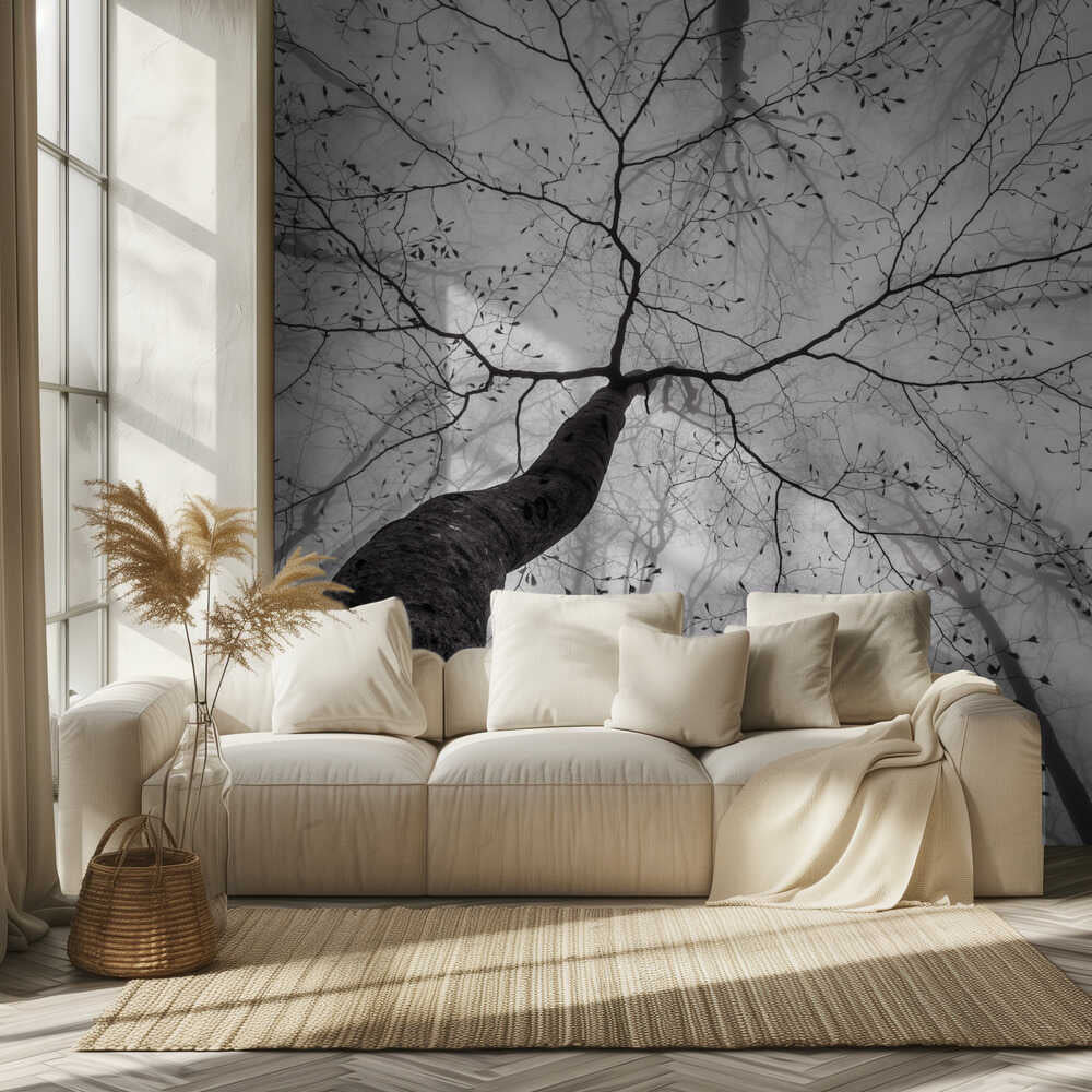 Vue de la cime de l'arbre | Fond d'écran