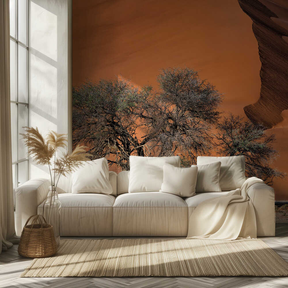 Akazie in der Wüste | Hintergrundbild