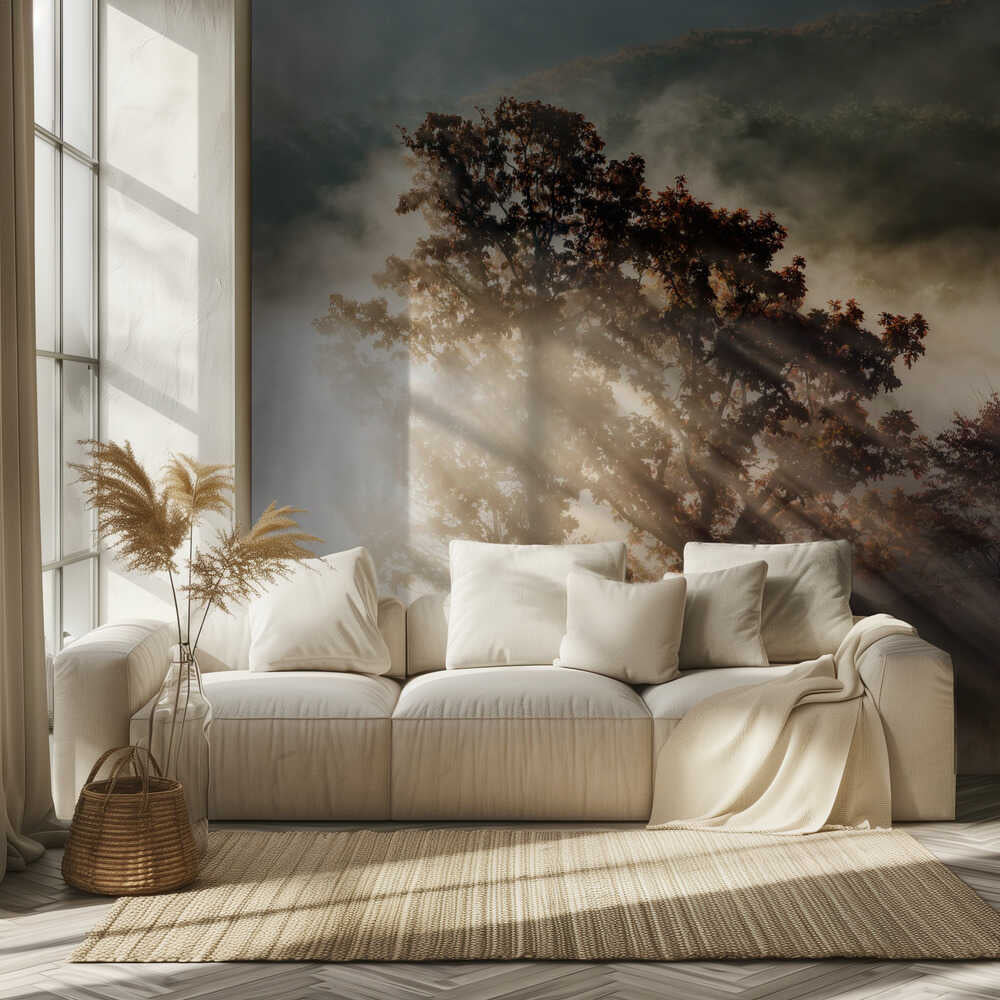 rayon de lumière | Fond d'écran