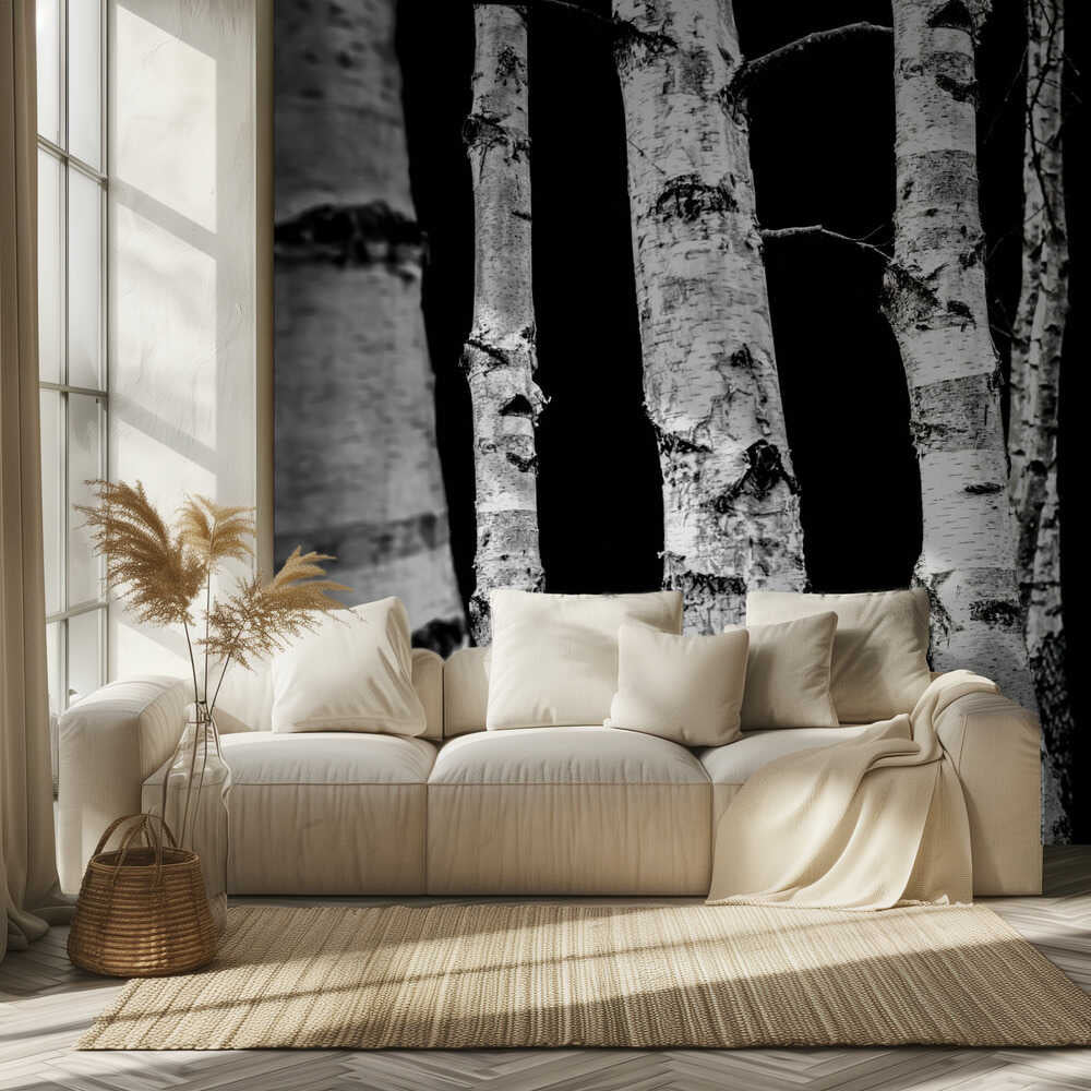 Bouleaux | Fond d'écran