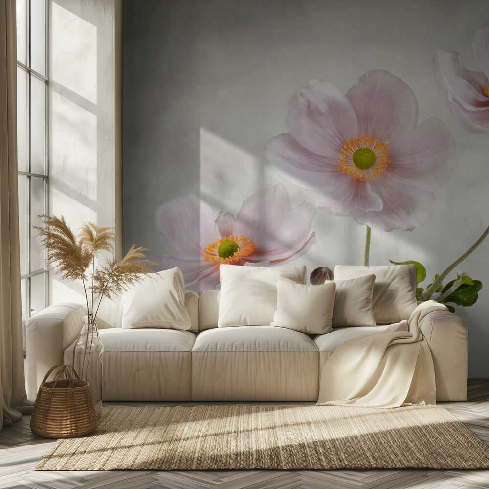 Anemonen | Hintergrundbild