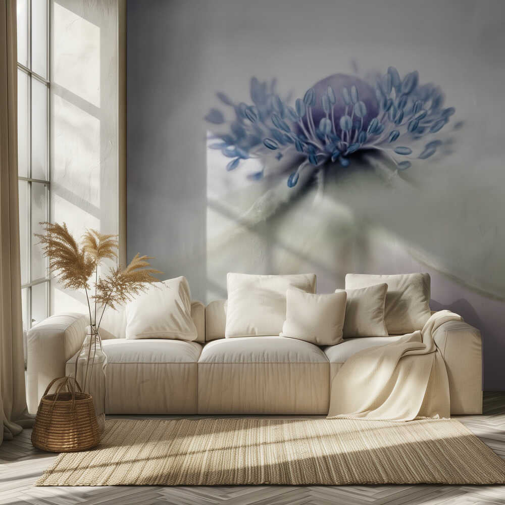 Anemone | Hintergrundbild