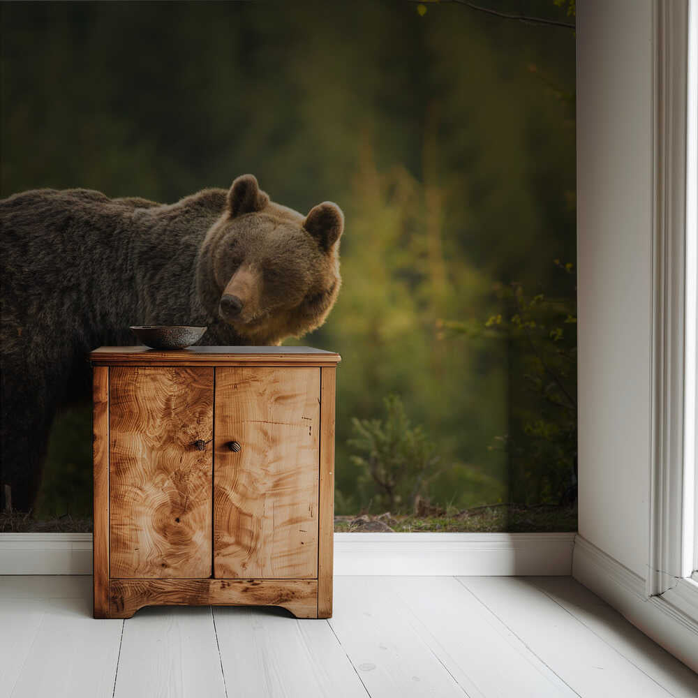 Hinterleuchteter Bär | Hintergrundbild