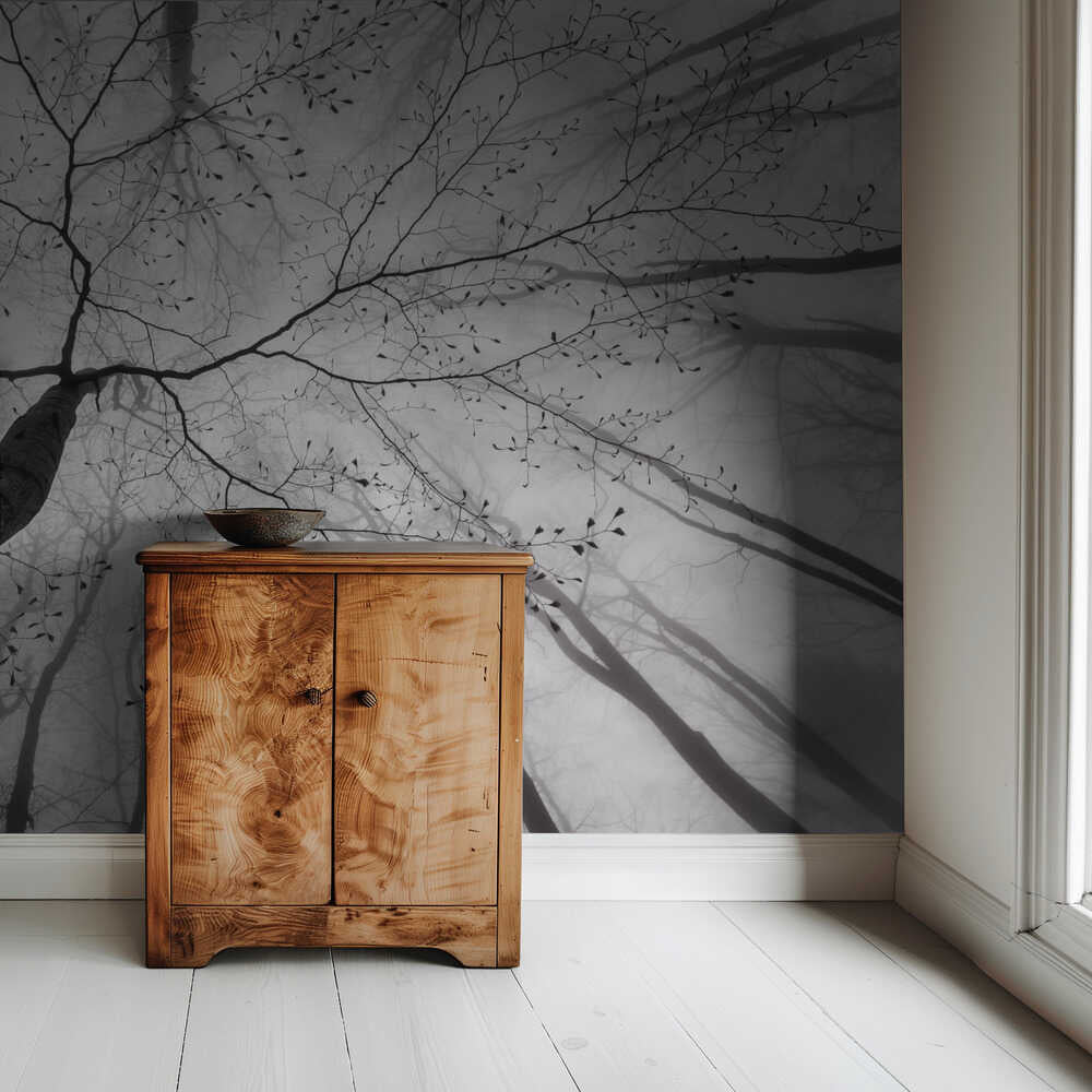 Vue de la cime de l'arbre | Fond d'écran