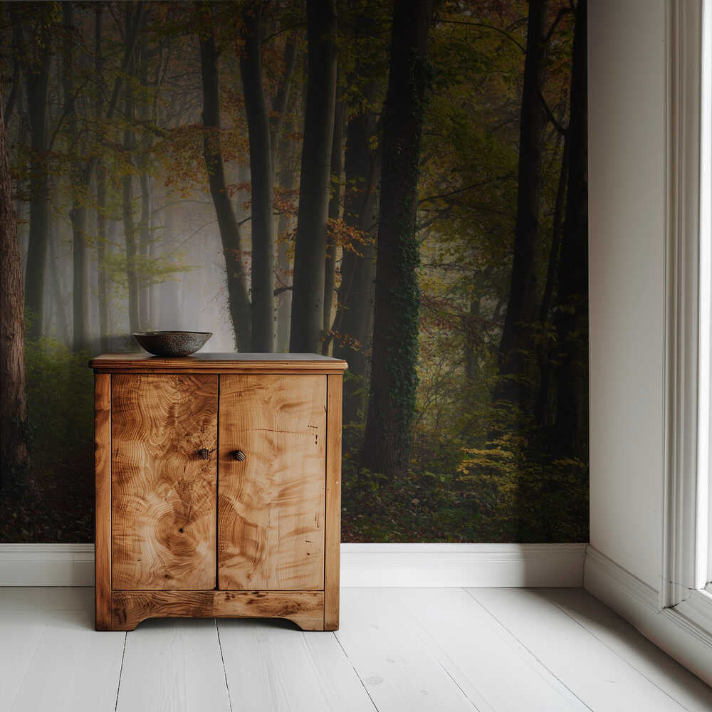 Farbenfroher Herbstwald | Hintergrundbild