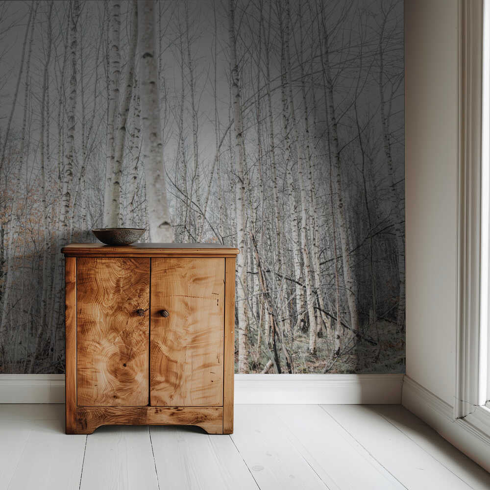 Birken 9 | Hintergrundbild