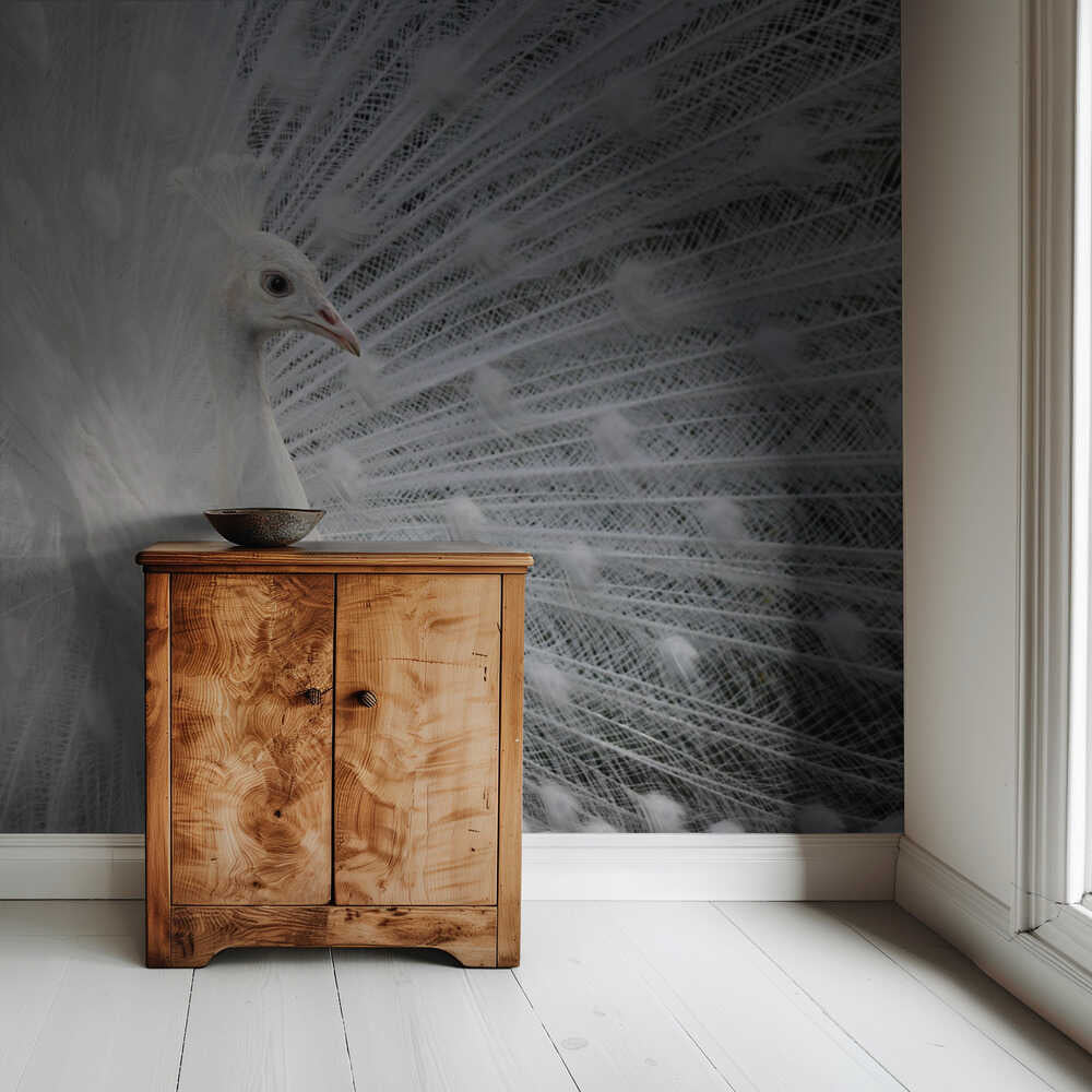 Blanc comme neige | Fond d'écran