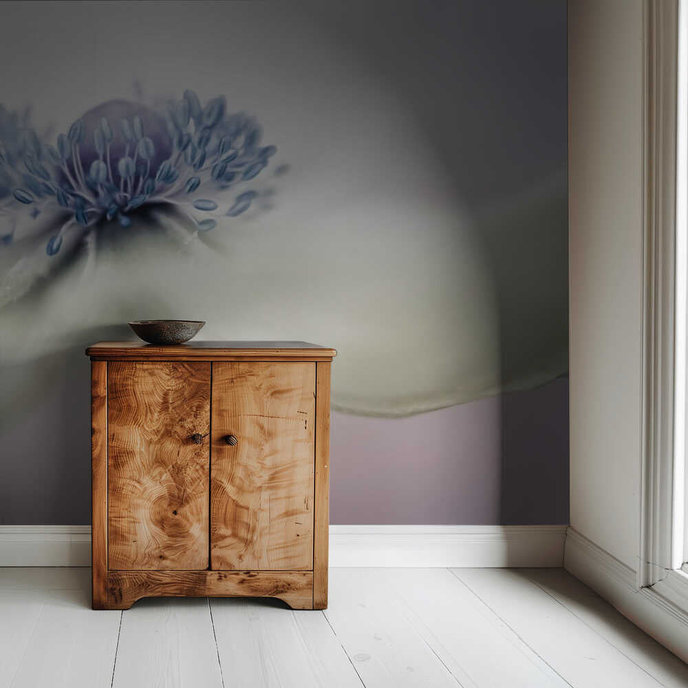 Anemone | Hintergrundbild