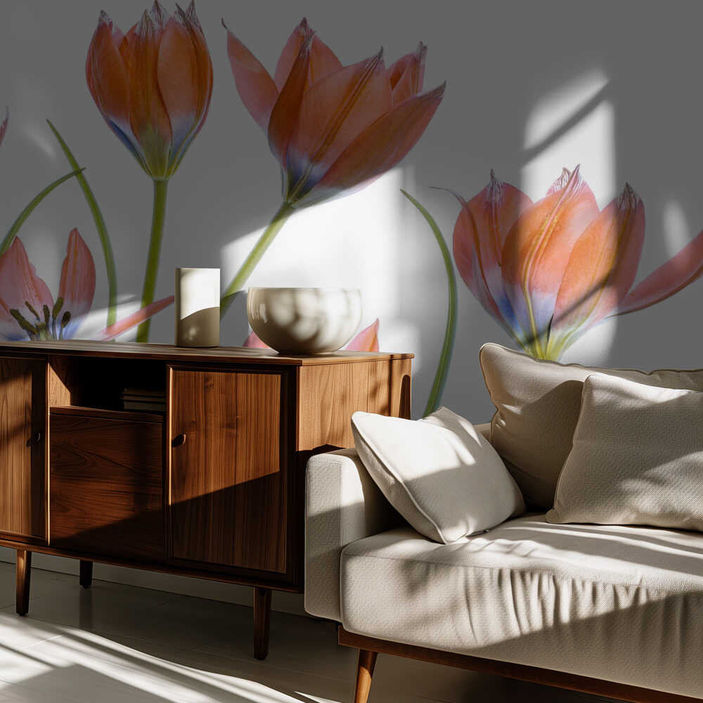 Aprikosentulpen | Hintergrundbild