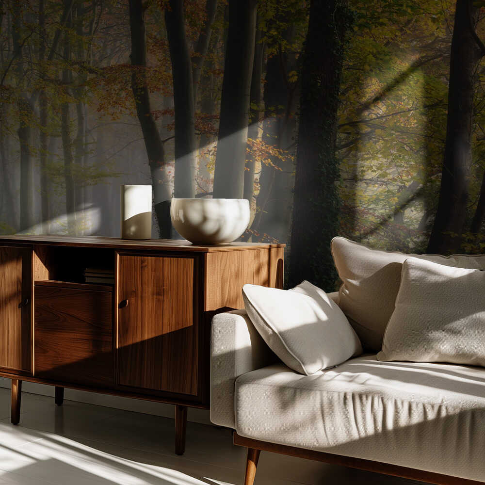 Farbenfroher Herbstwald | Hintergrundbild