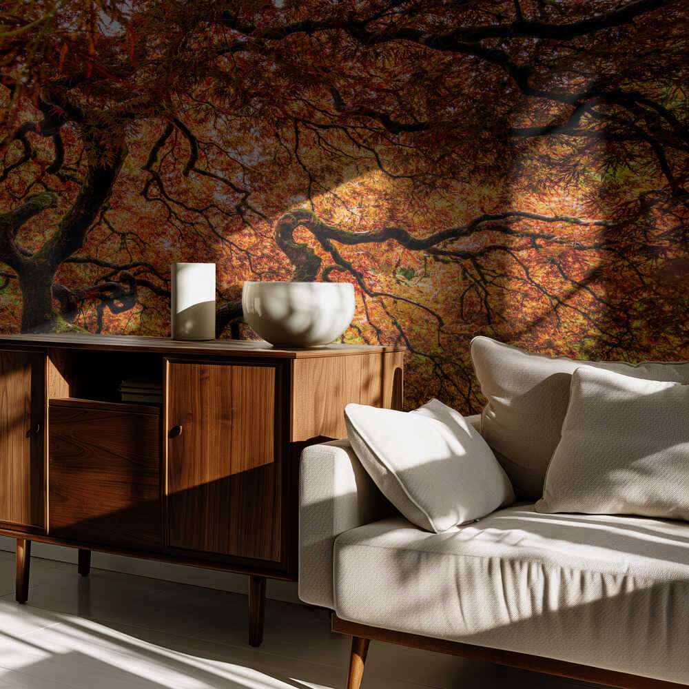 Ein älterer Ahornbaum | Hintergrundbild