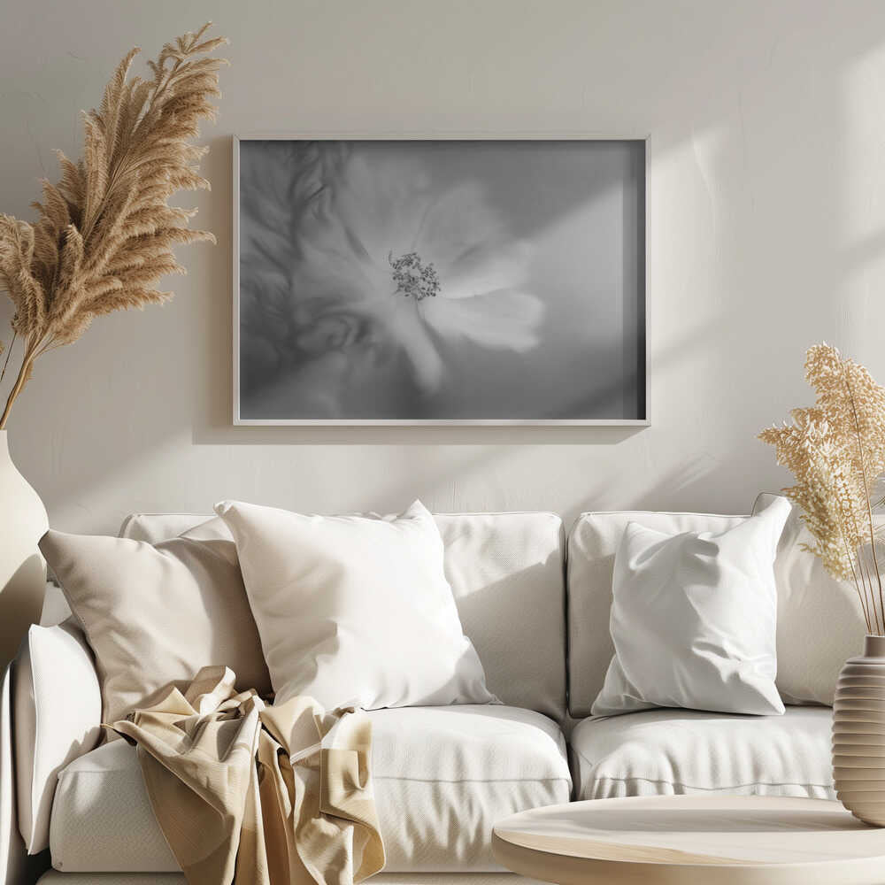 Wild rose in the wind | Poster