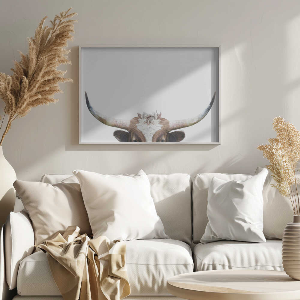 Peeking Longhorn Cow | Poster