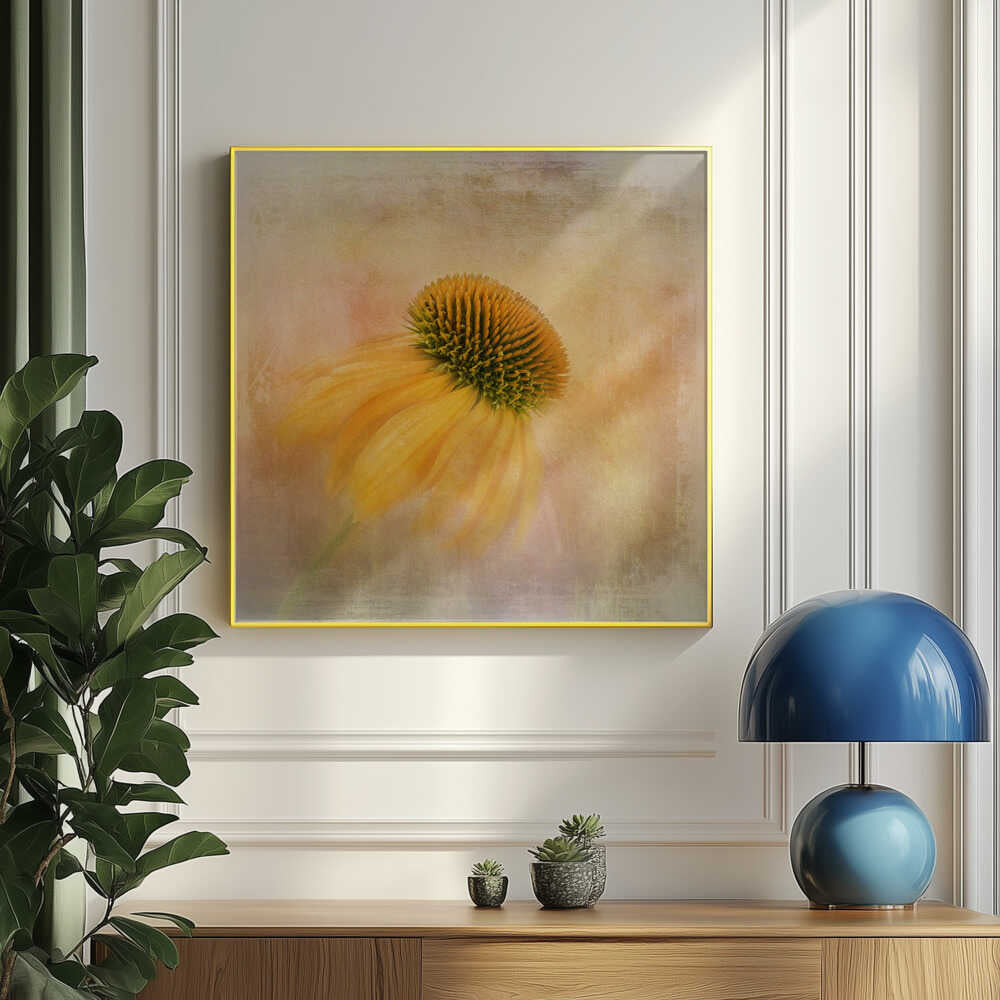 Echinacea in Gelb | Poster