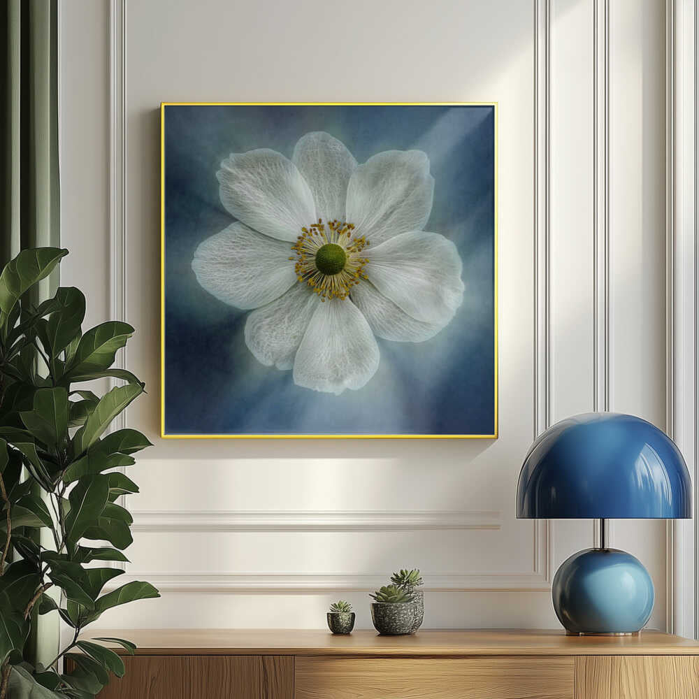 Prinzessin Anne-Mone | Poster