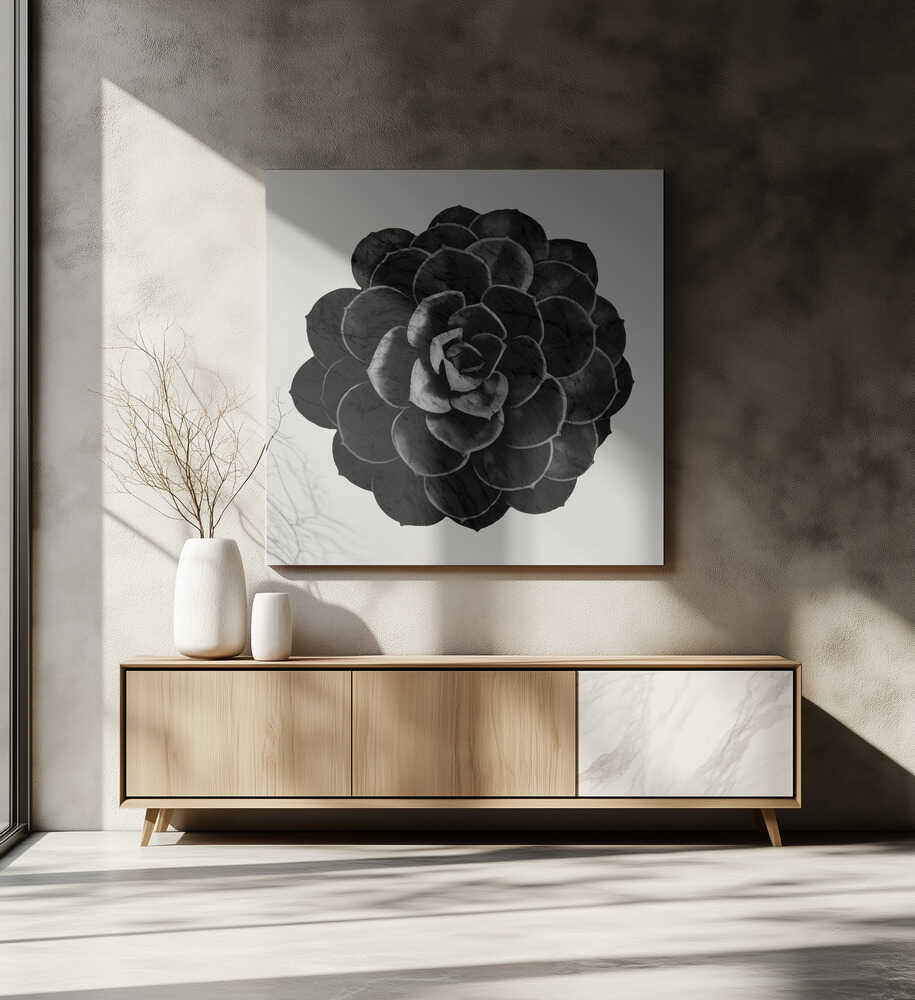 Succulent 06 | Canvas