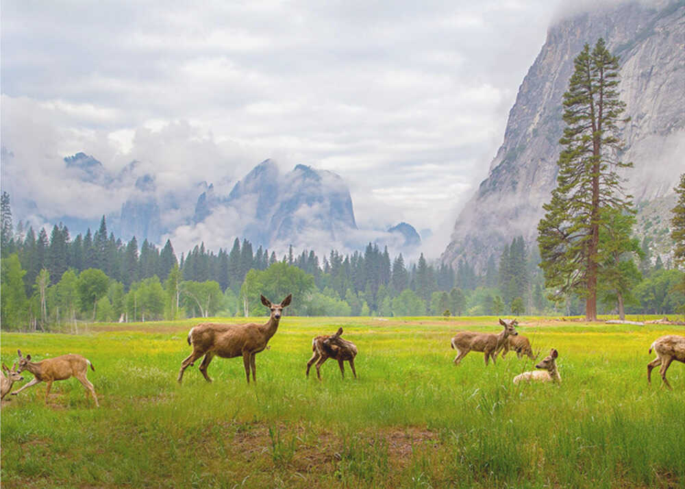 A Feeling of Ancient Time | Wallpaper