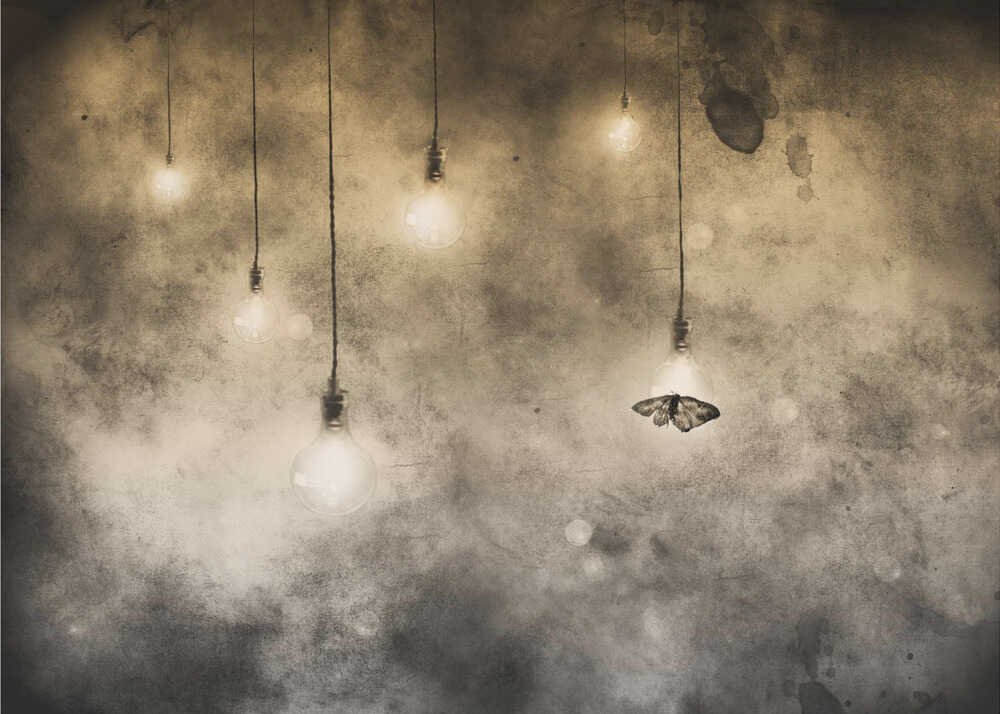 Attraktion | Hintergrundbild