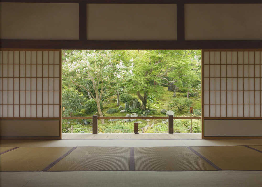 Zen Zone | Wallpaper