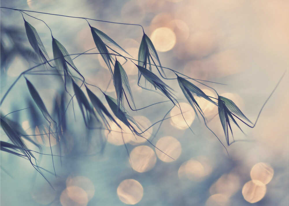 ...<<< | Hintergrundbild