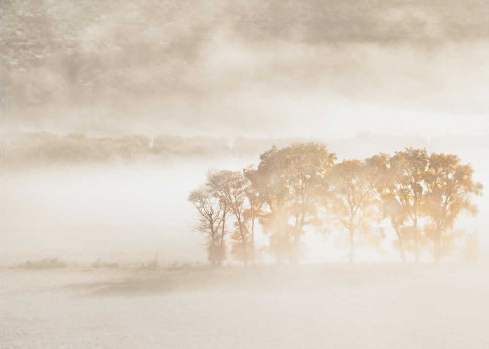 Herbstträume | Hintergrundbild