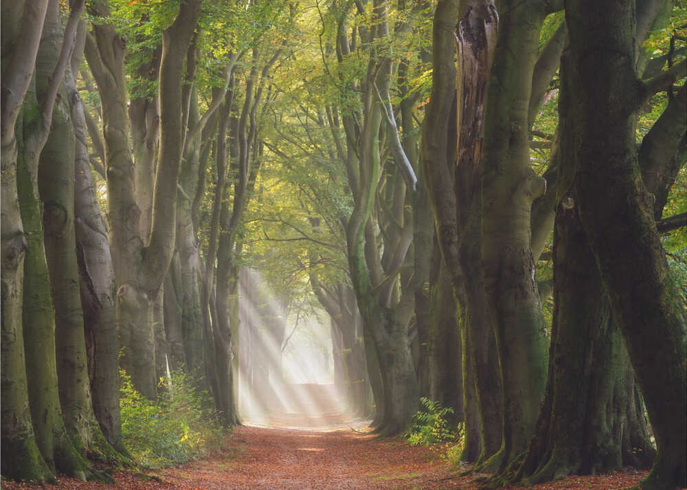 Ein herrlicher Tag | Hintergrundbild