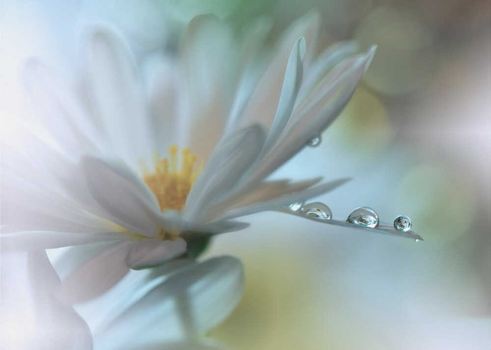 Leichte Berührung... | Hintergrundbild