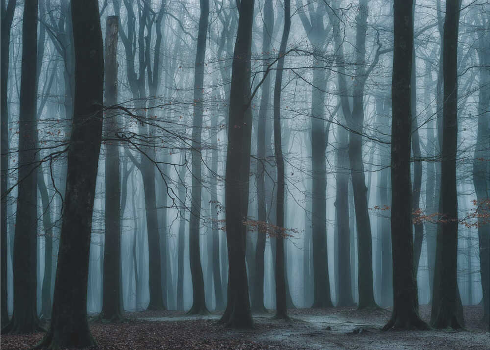 Wir alle | Hintergrundbild