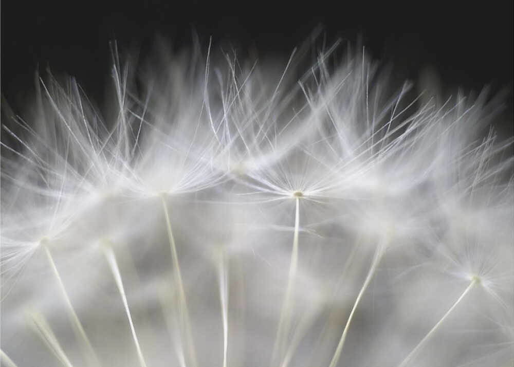 Verdammt nochmal! | Hintergrundbild