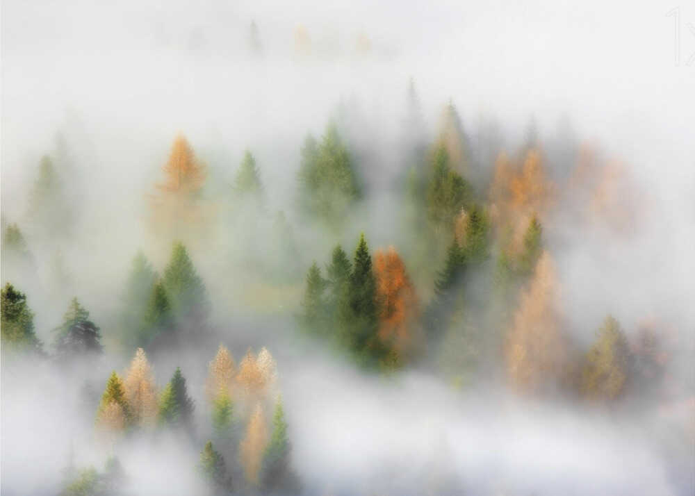 Herbsttraum | Hintergrundbild