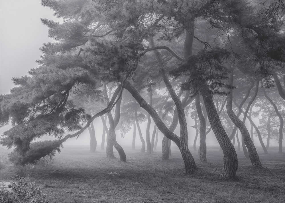 Immer | Hintergrundbild