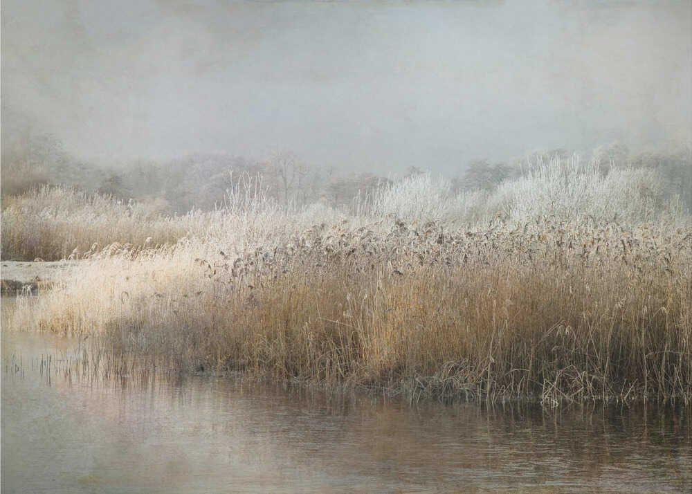 Wintermorning | Wallpaper