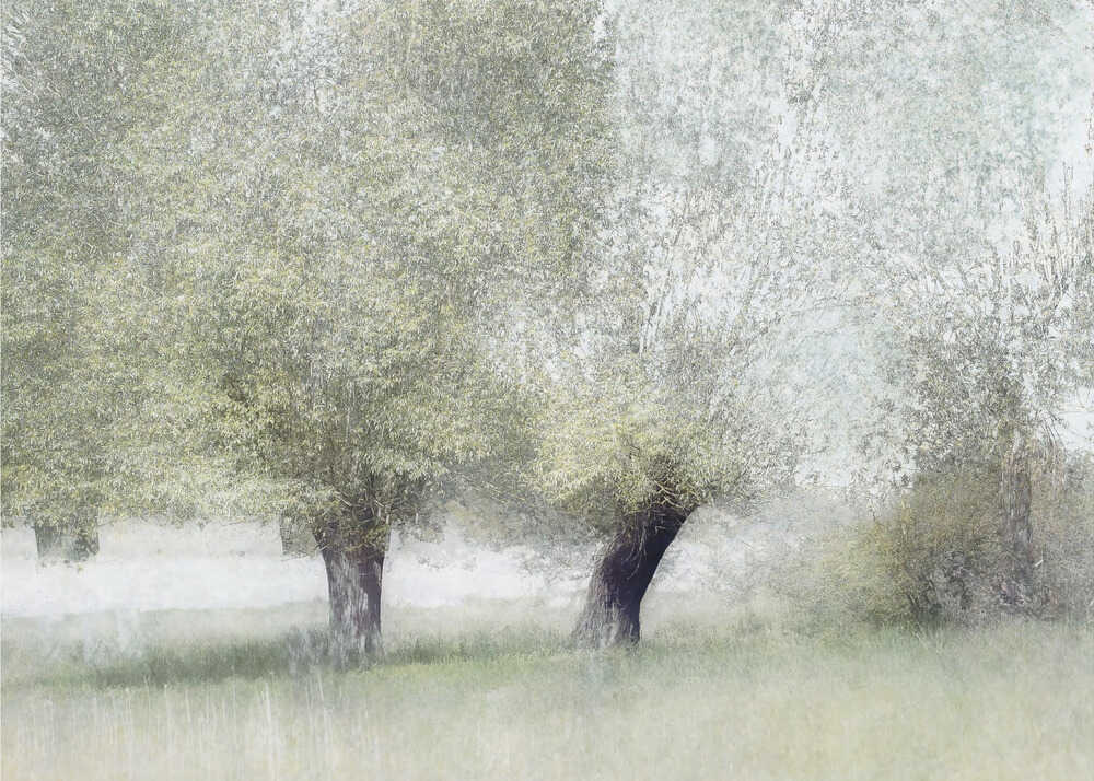 Young green | Wallpaper