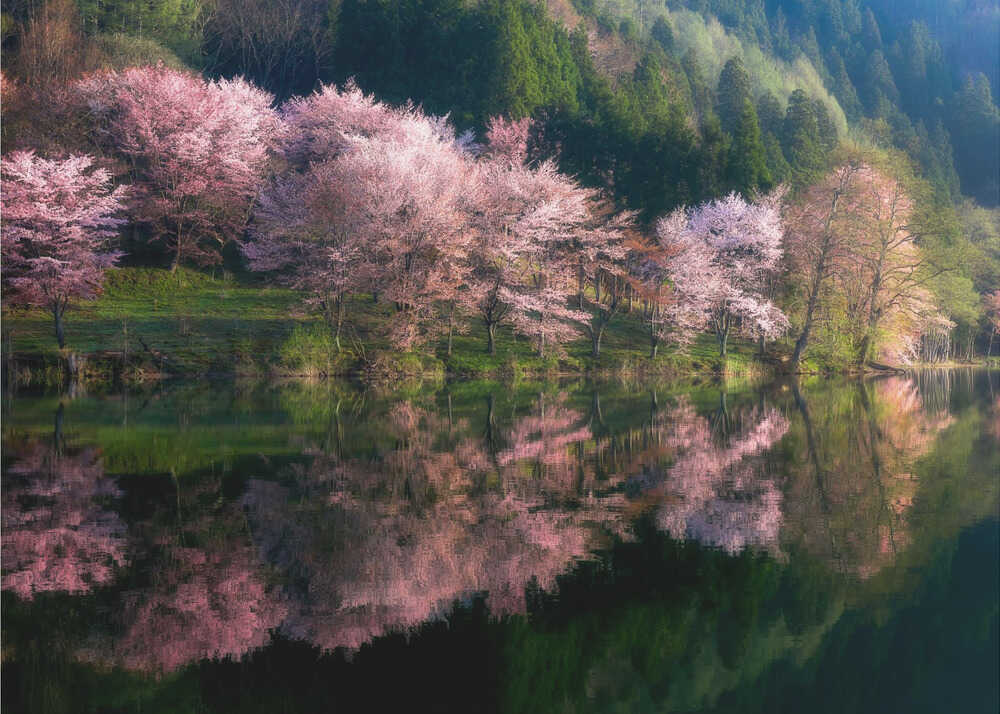 Eine andere Welt | Hintergrundbild