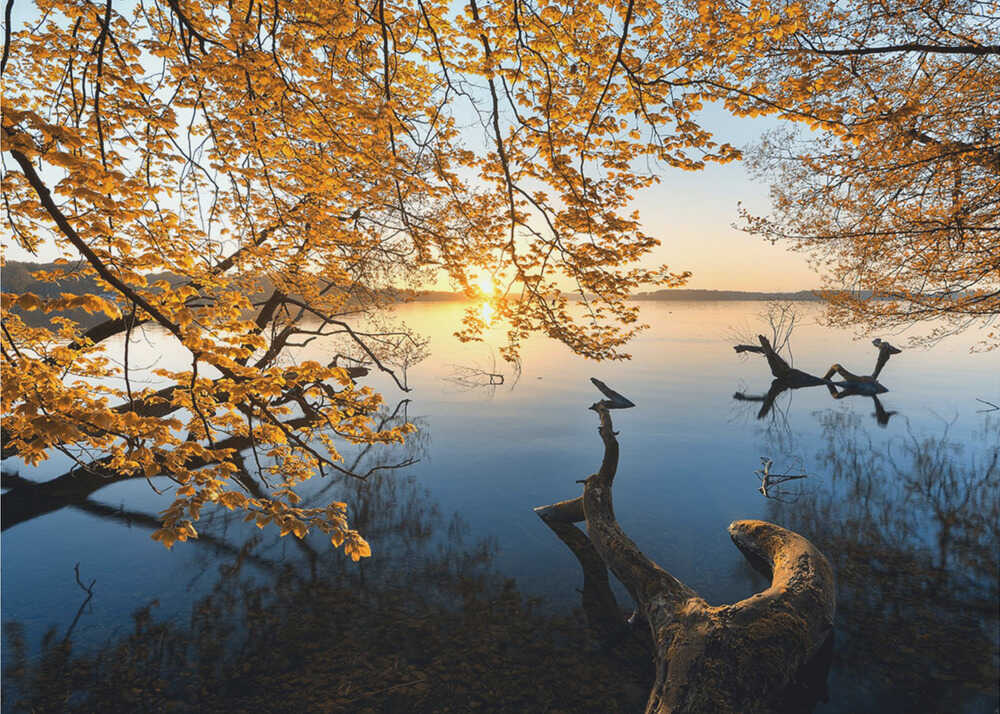 Herbstmorgen | Hintergrundbild