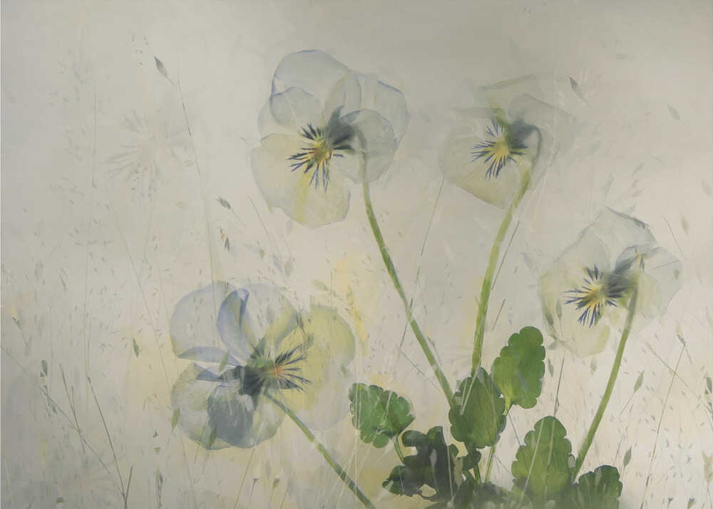 Kleine Veilchen | Leinwand