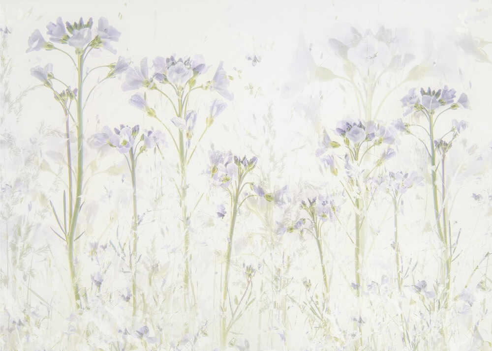 Spring at home | Canvas