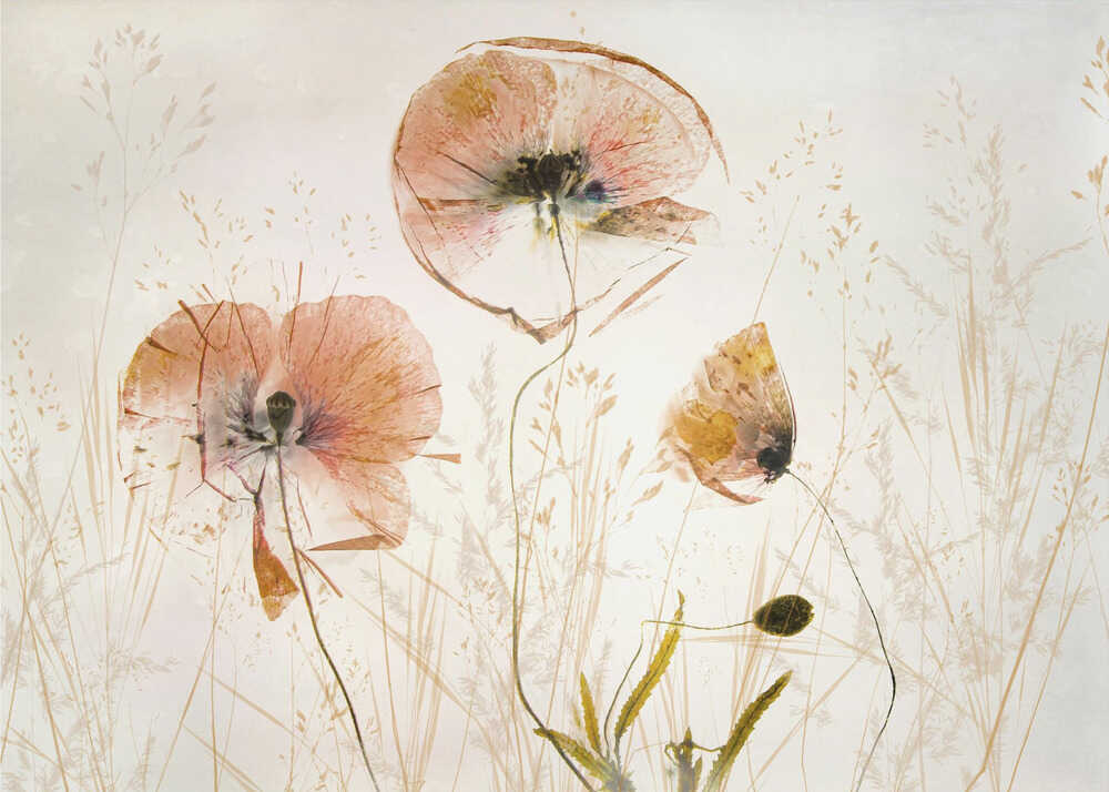 Leicht und sanft | Poster